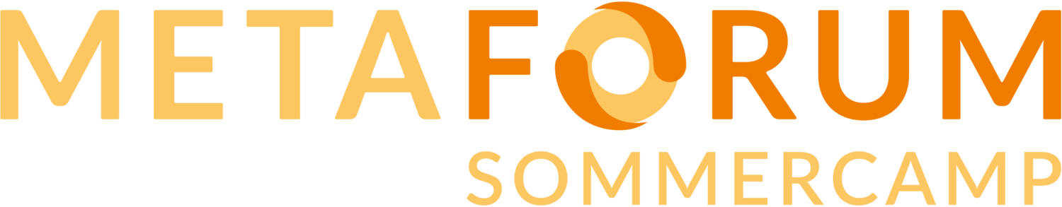Logo Metaforum Sommercamp